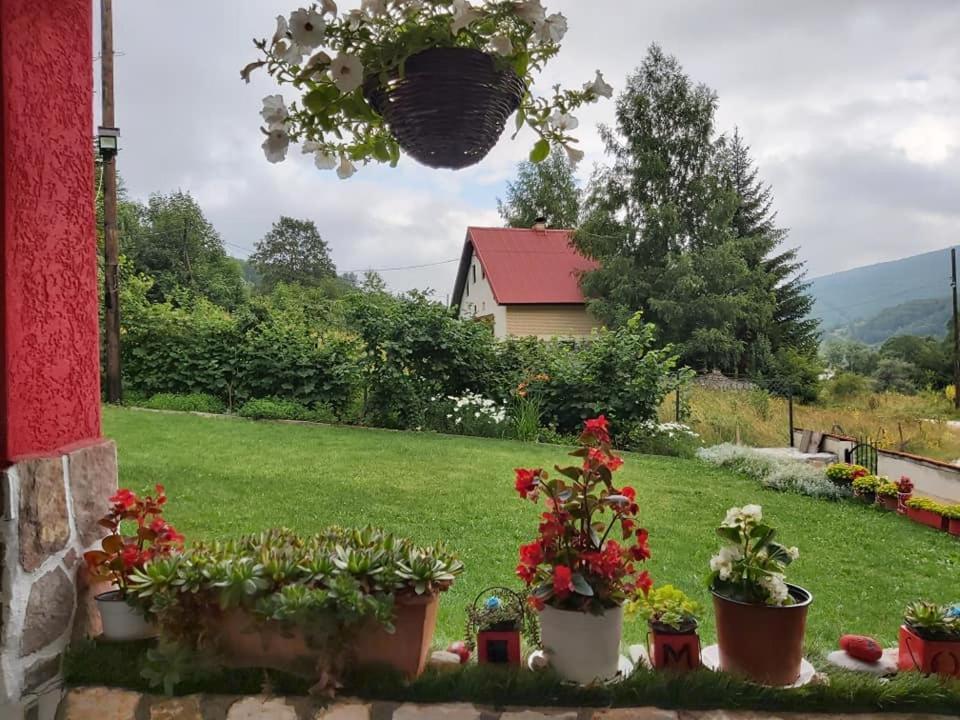 Villa Jelena Mavrovo Eksteriør bilde