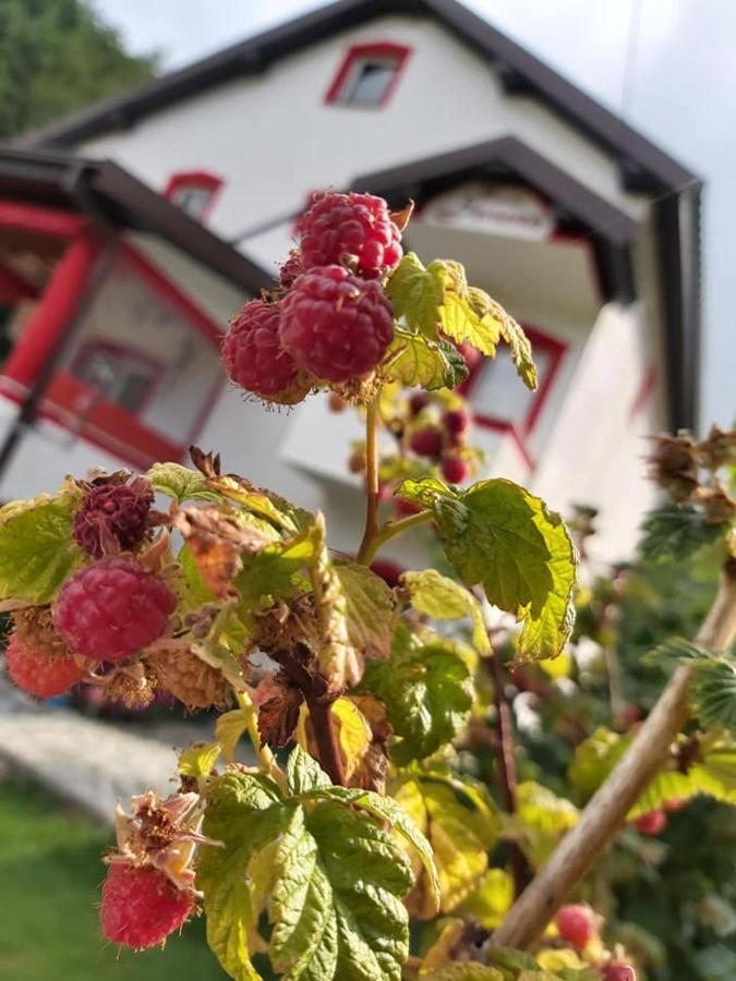Villa Jelena Mavrovo Eksteriør bilde